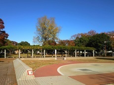 新生公園.jpg