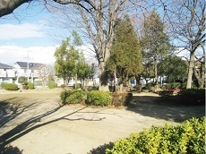 新生公園.jpg