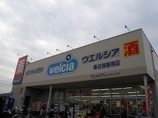 ウェルシア.jpg