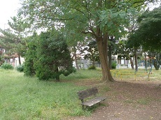 谷原第1公園.jpg