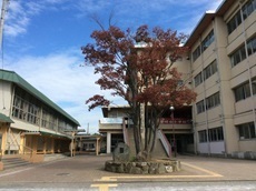 桜川小学校.jpg