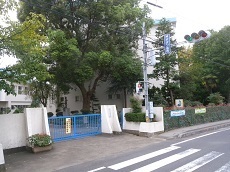 八木崎小学校.jpg
